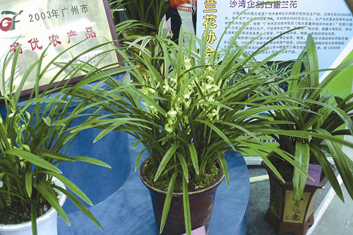 Brief Introduction of Shawan Orchid Development