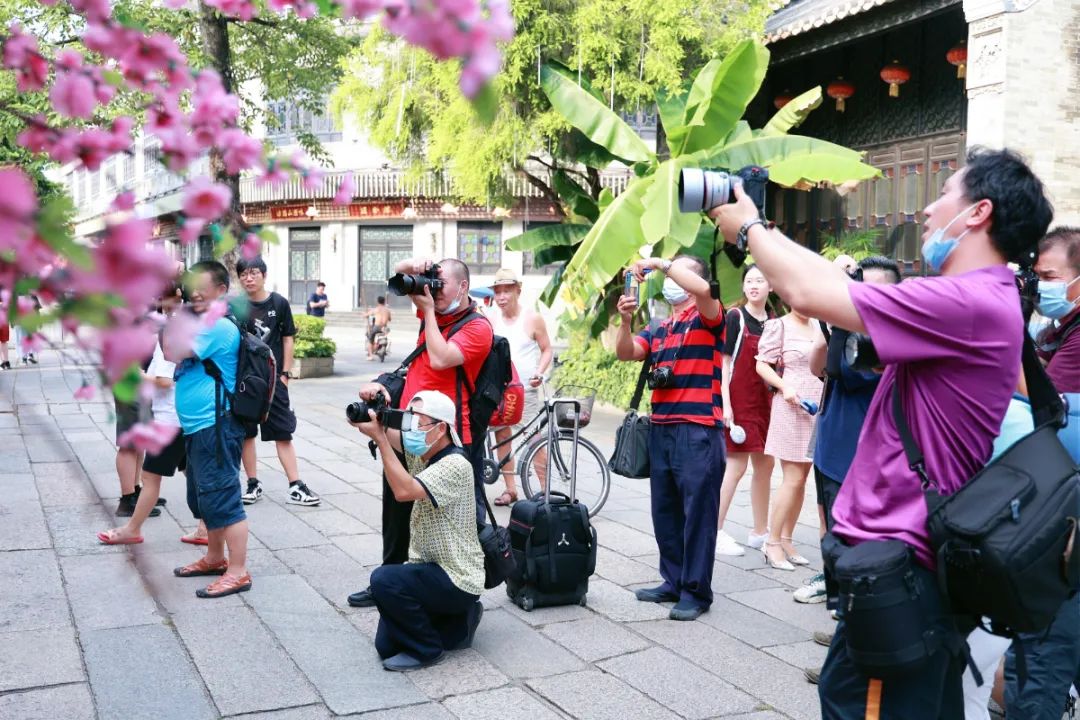 482A5280.JPG 图片