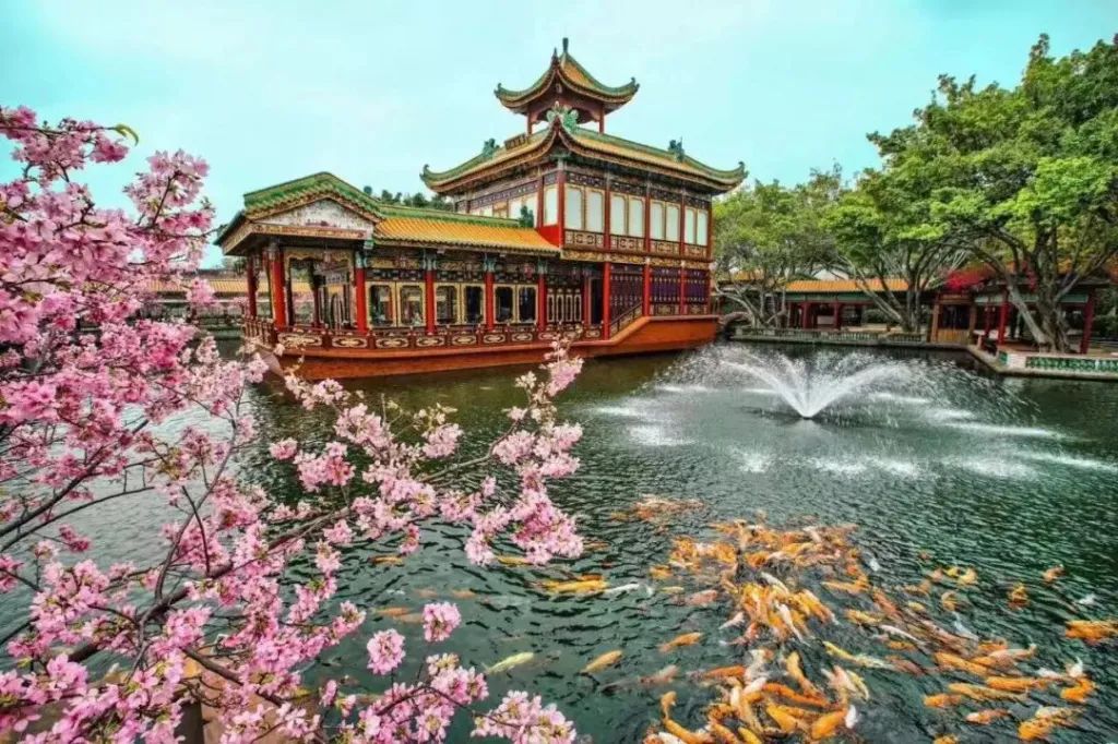 图片