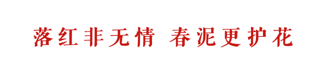 落红.png 图片