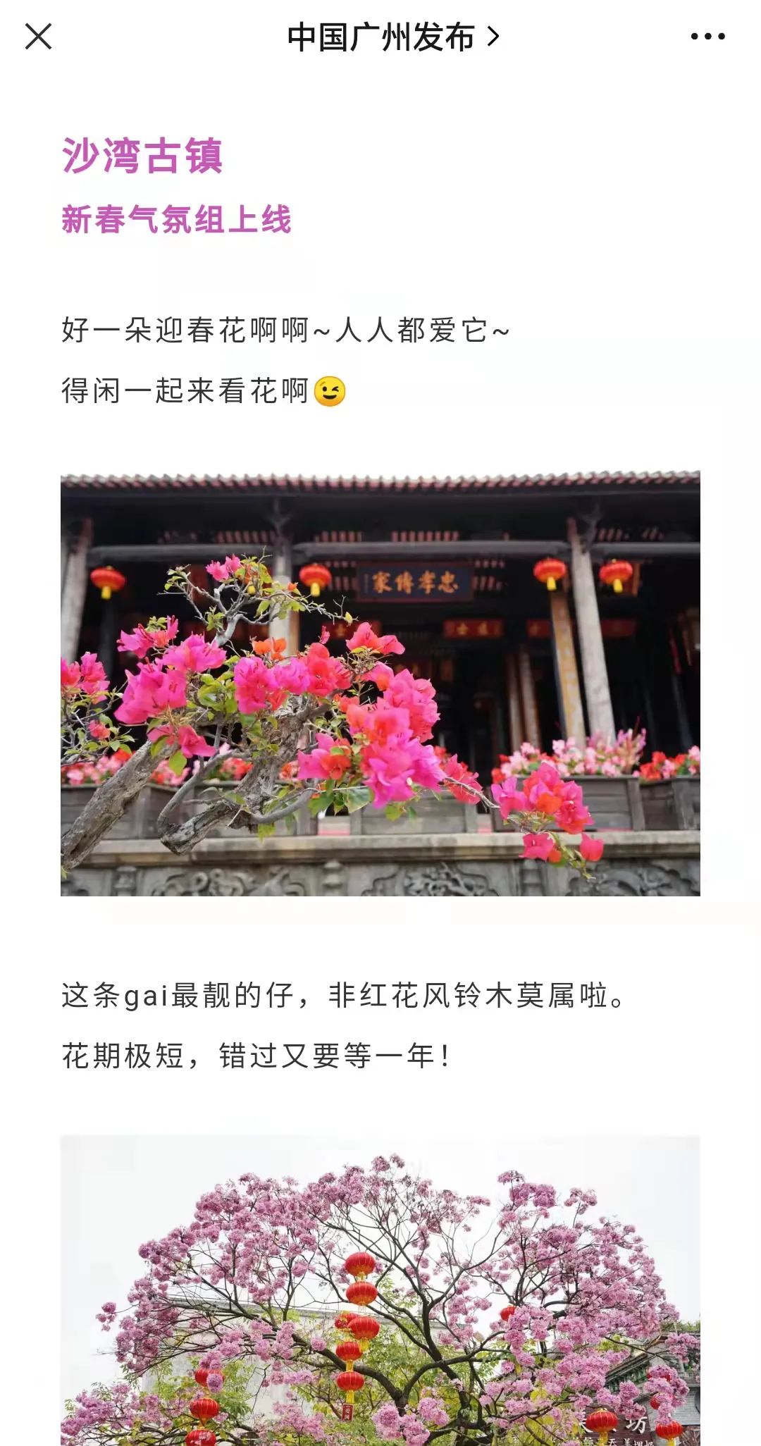 20a049c83686044c2ebb7c4548513d7.jpg 图片