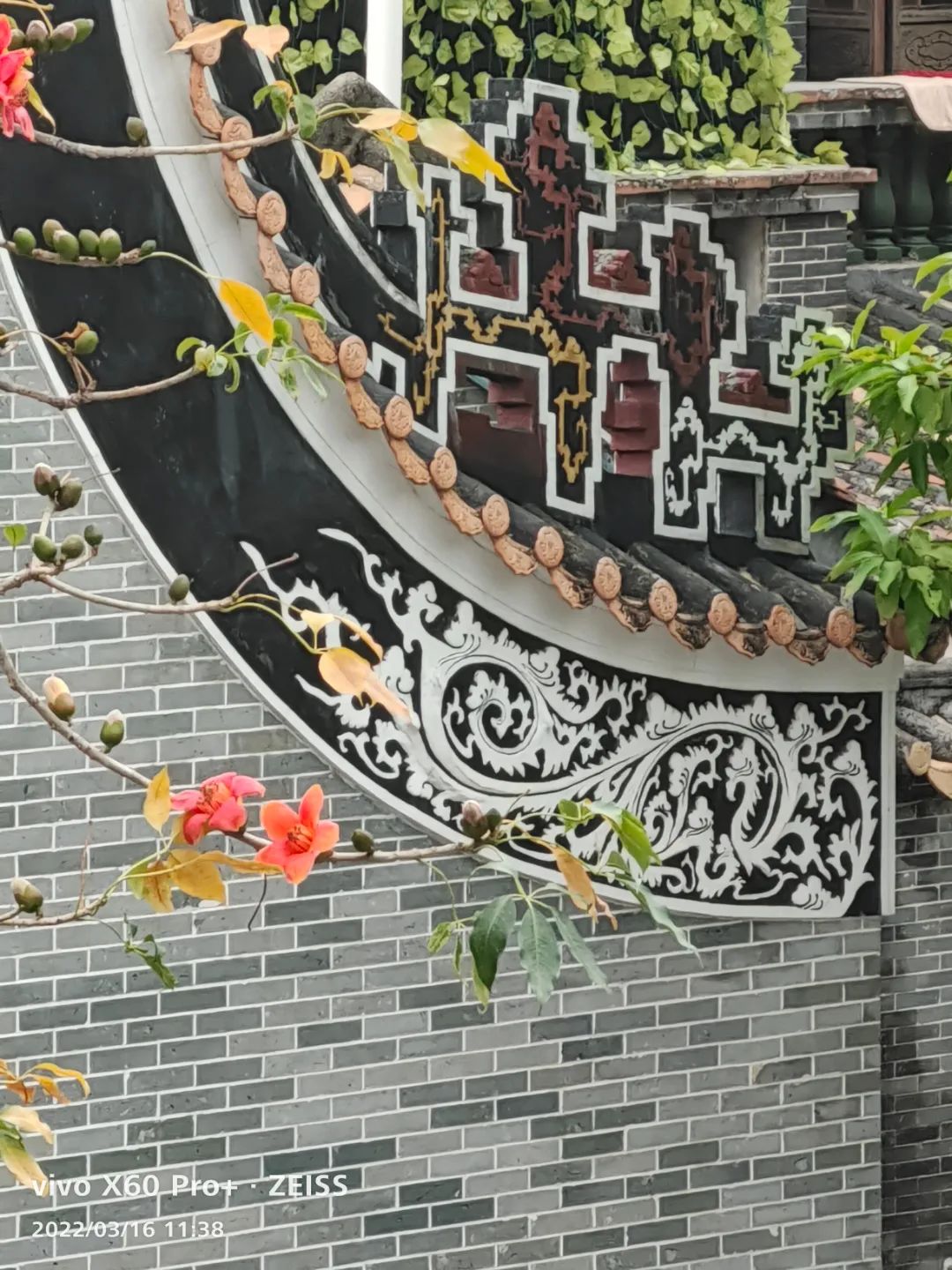 王明莲2.jpg 图片