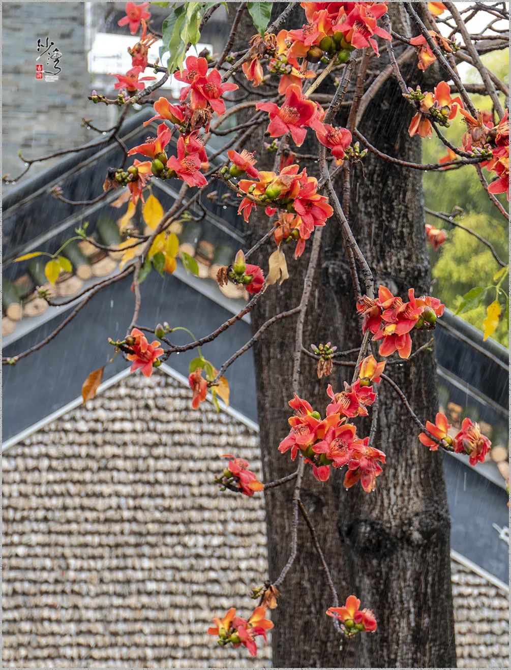 微信图片_20220326174621.jpg 图片