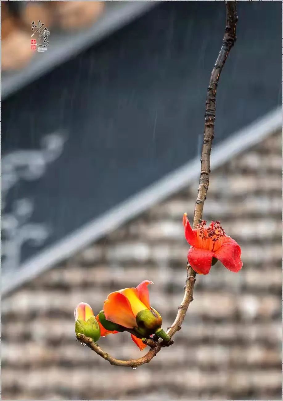 微信图片_20220326174626.jpg 图片