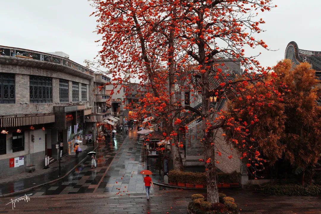 微信图片_20220326174218.jpg 图片