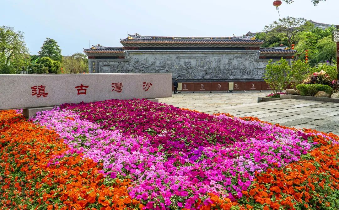 _DSC9979.jpg 图片