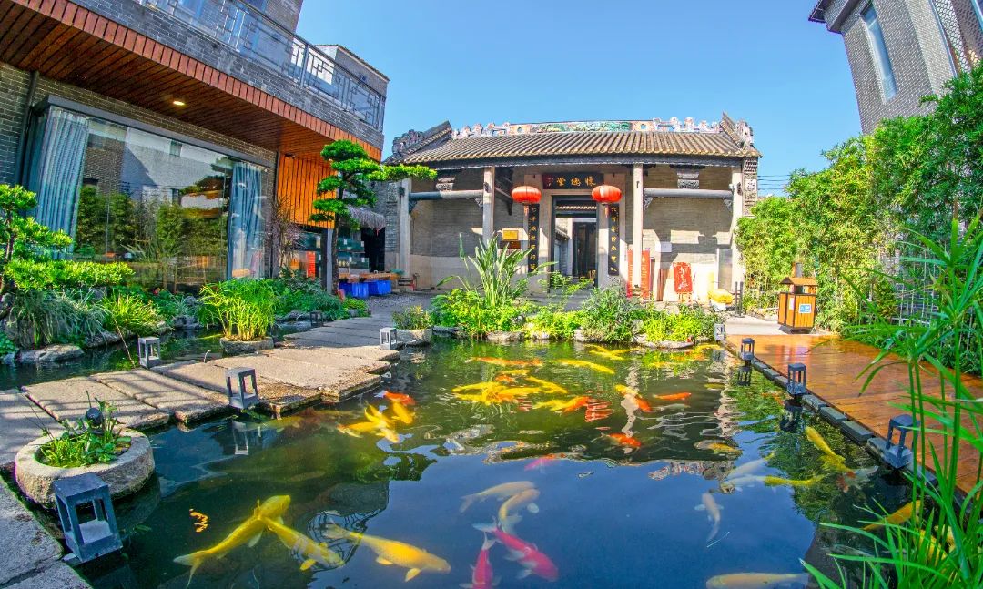 _DSC5220.jpg 图片