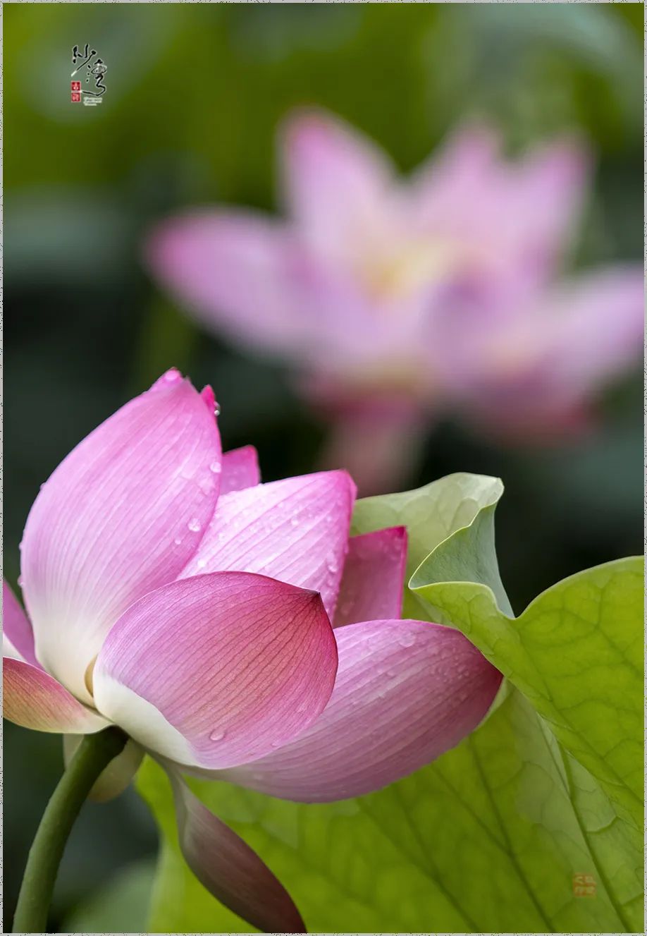 42a71f03ed343bc8114a547467e351c.jpg 图片