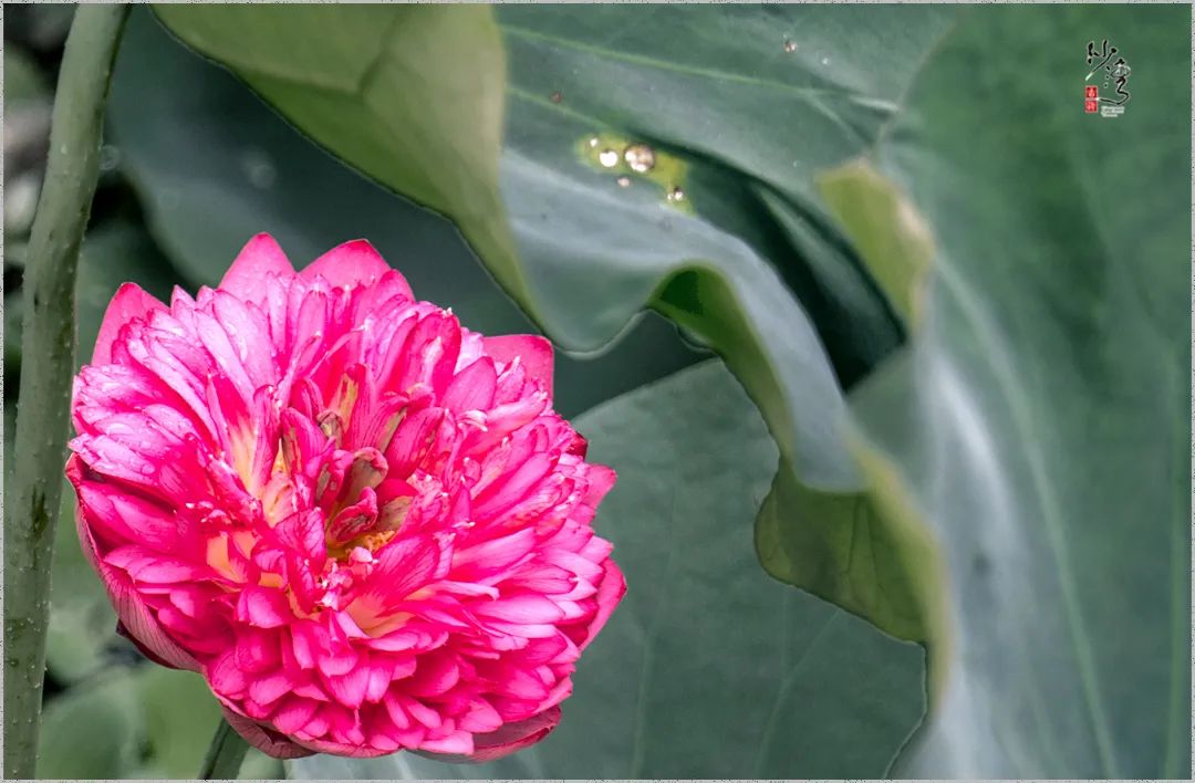b0cbf981acc78f60a1e7d983b8a0f82.jpg 图片