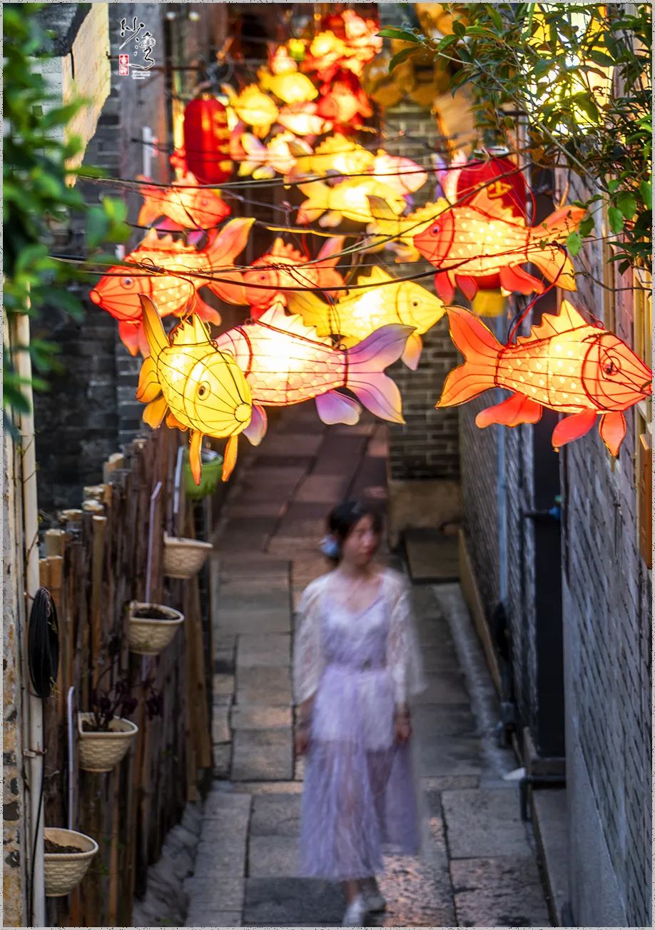 _DSC6154.jpg 图片
