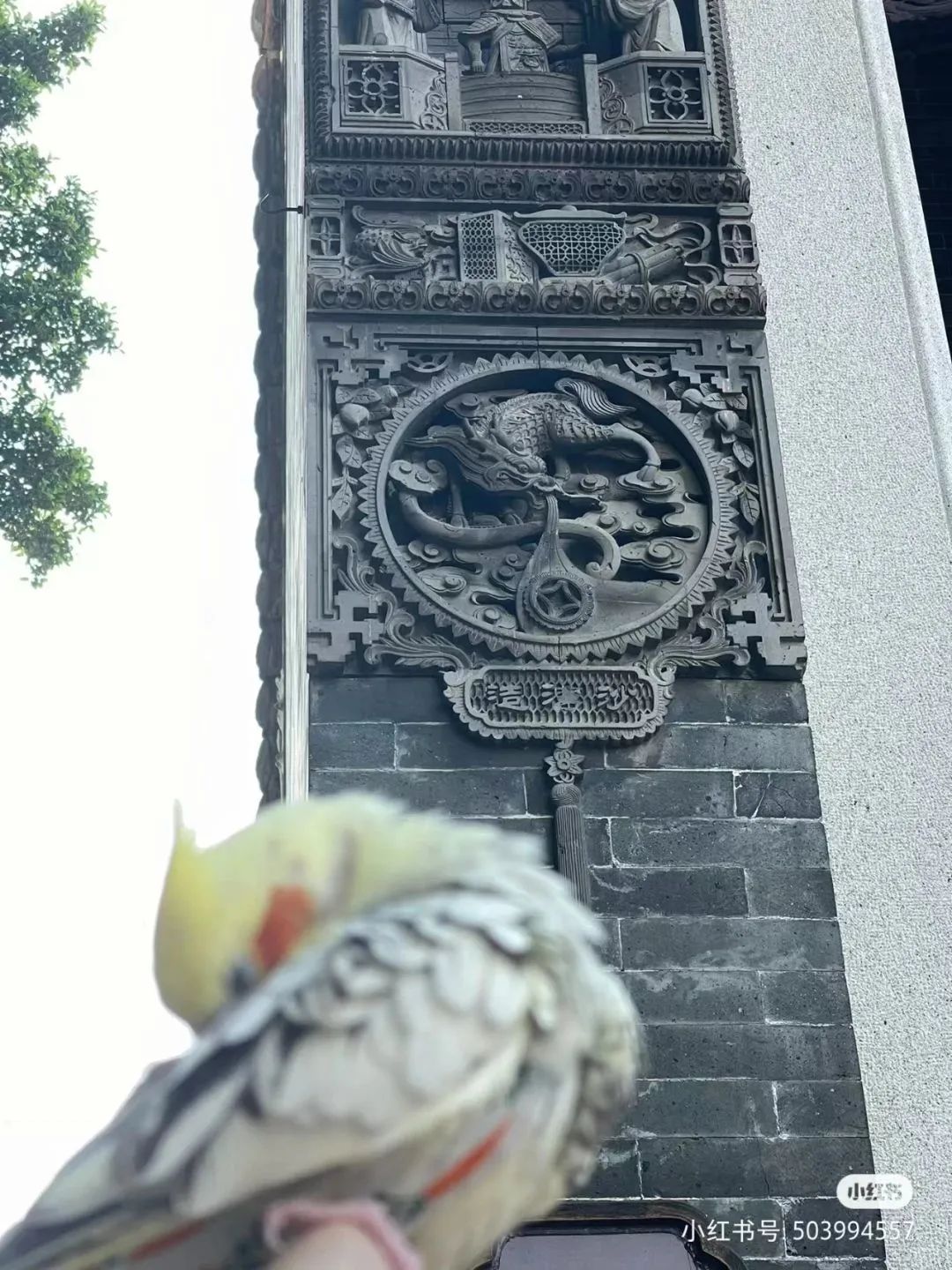 05f9ca6d9a7b80c0ec95e2cd1ea299c.jpg 图片