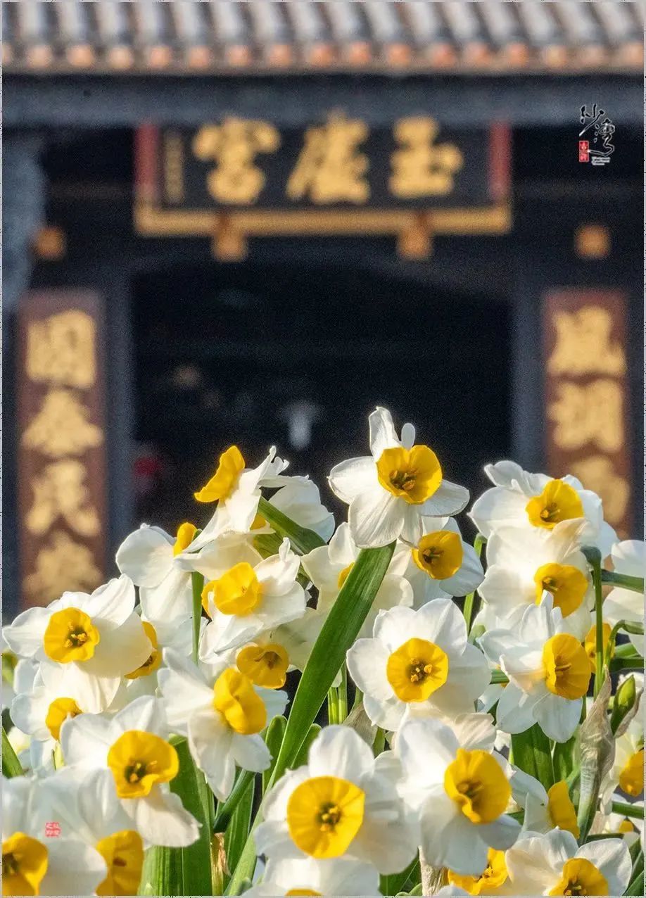 微信图片_20230205141153.jpg 图片