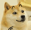 ͼƬ