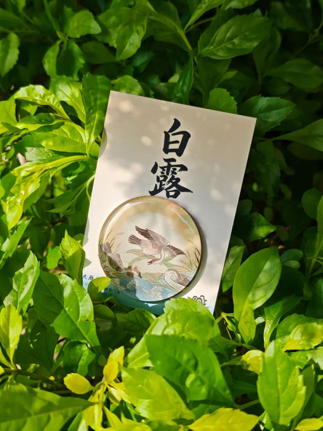 8.7立秋(丰盈秋瑞).jpg